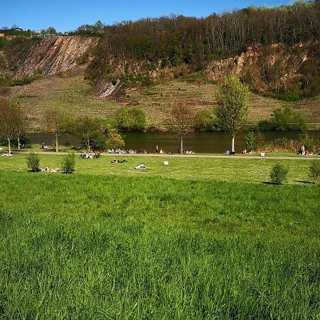 Ferienhaus Malefi 1 Am Guelser Moselbogen Koblenz  Dış mekan fotoğraf